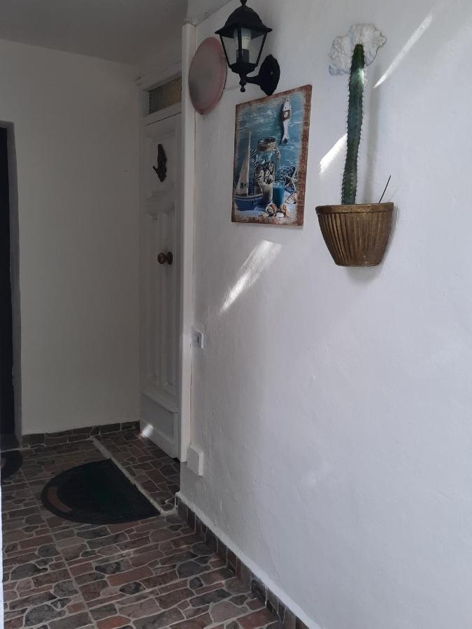 Casa Delfino Daire Murta Maria Dış mekan fotoğraf
